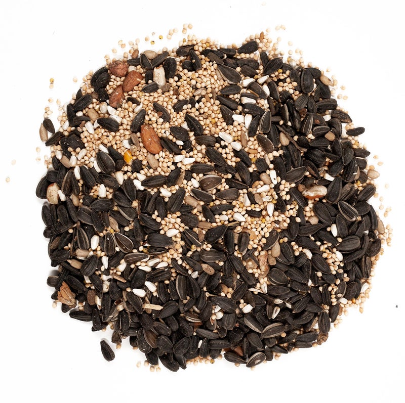 Wagner's 62042 Songbird Supreme Blend Wild Bird Food, 8-Pound Bag - Image 3